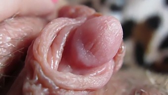Intense Close-Up Of My Throbbing And Enlarged Clitoris Head
